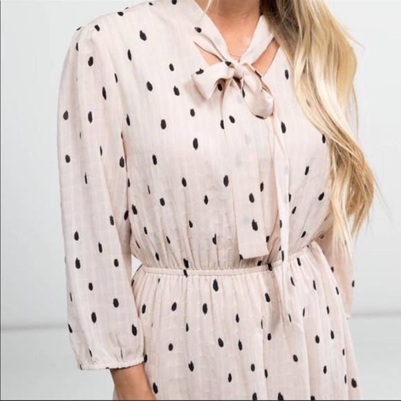 Polagram Dresses & Skirts - Roolee/Polagram | Blush & black | polka dot dress